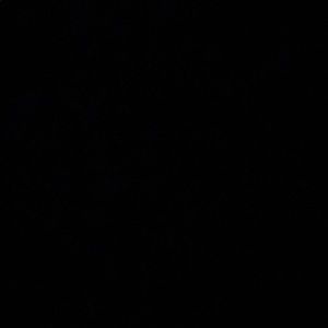 Meet your Posher, Ashlyn